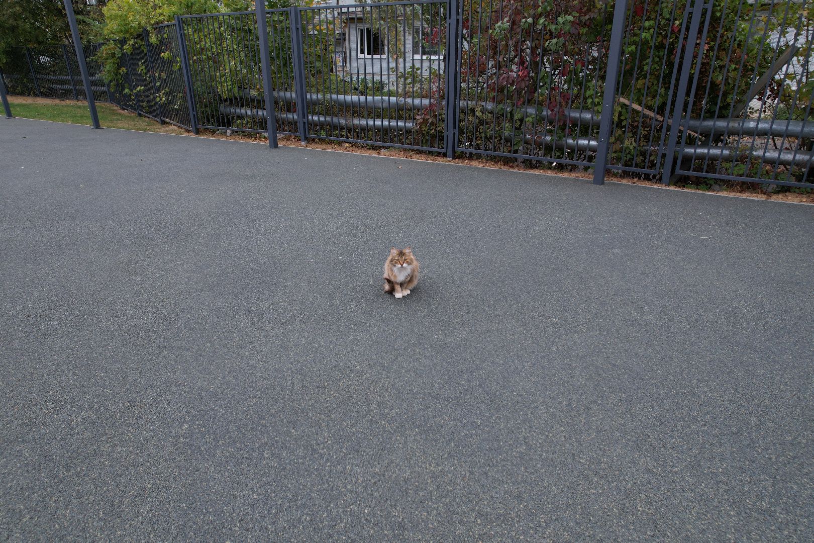 одинцово, интернат, школа,видео с коптера,