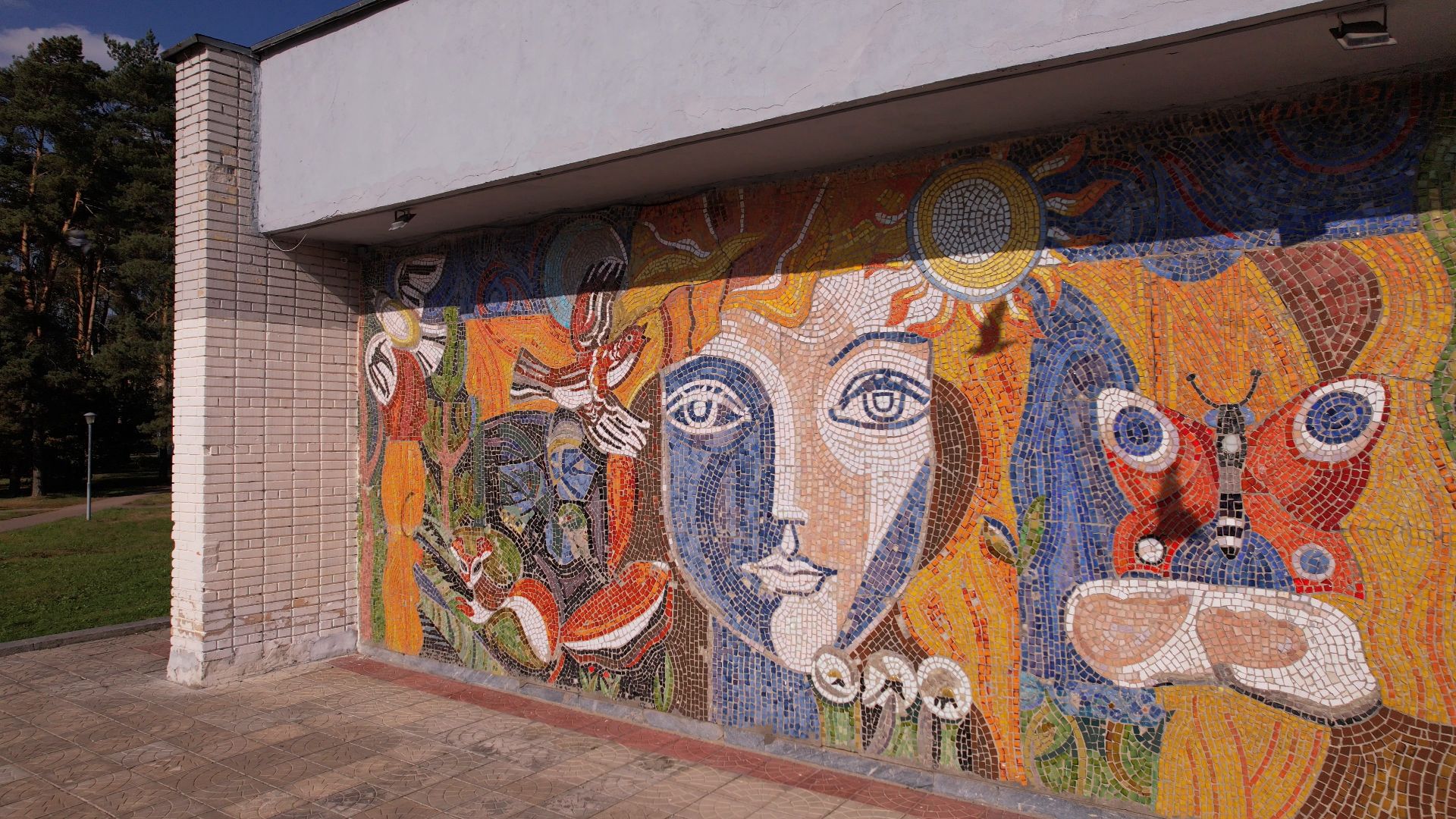 памятник, черноголовка, ученый,видео с коптера,