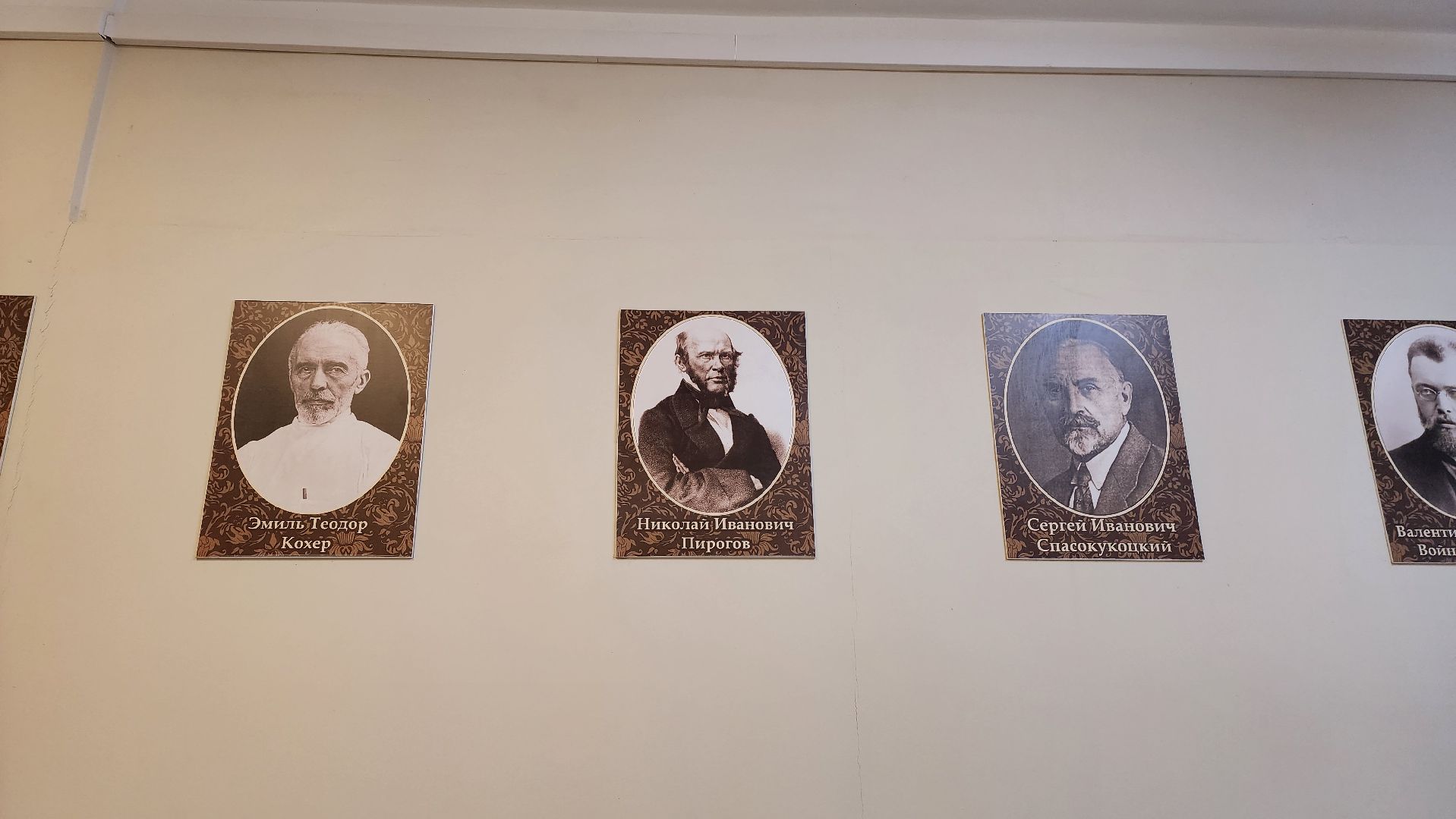 Солнечногорск, медицина, хирургия, спасение, грибы,