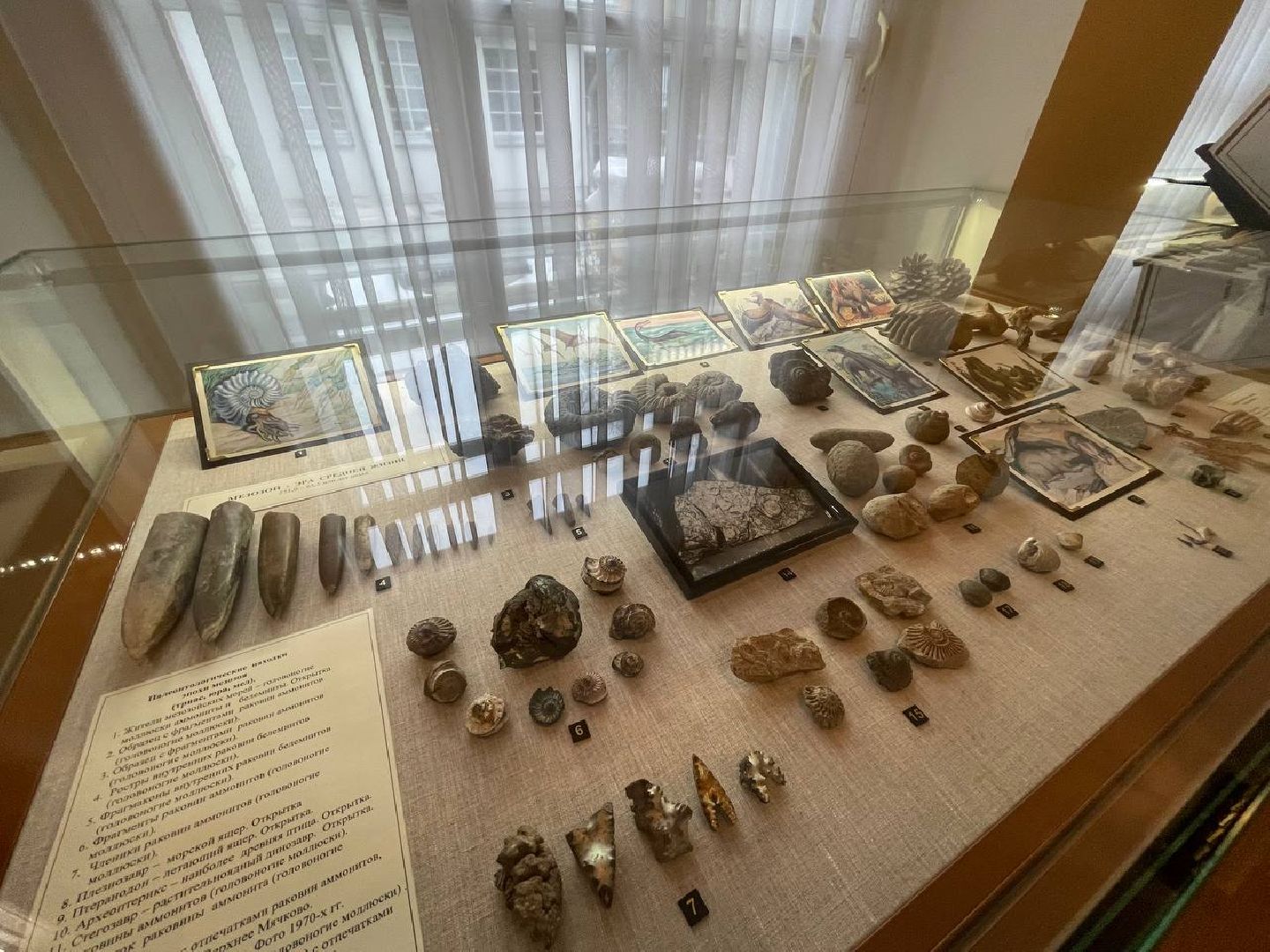 лыткарино, музей,