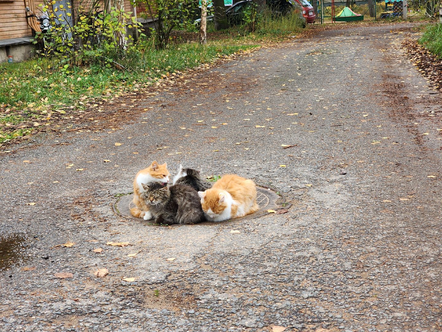 Архитектура, Скетчинг, Наброски, урбанистика, Дубна,