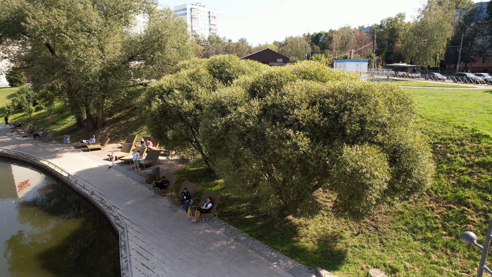 видное, благоустройство, пруд,видео с коптера,