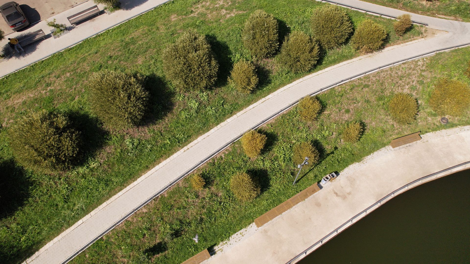 видное, благоустройство, пруд,видео с коптера,