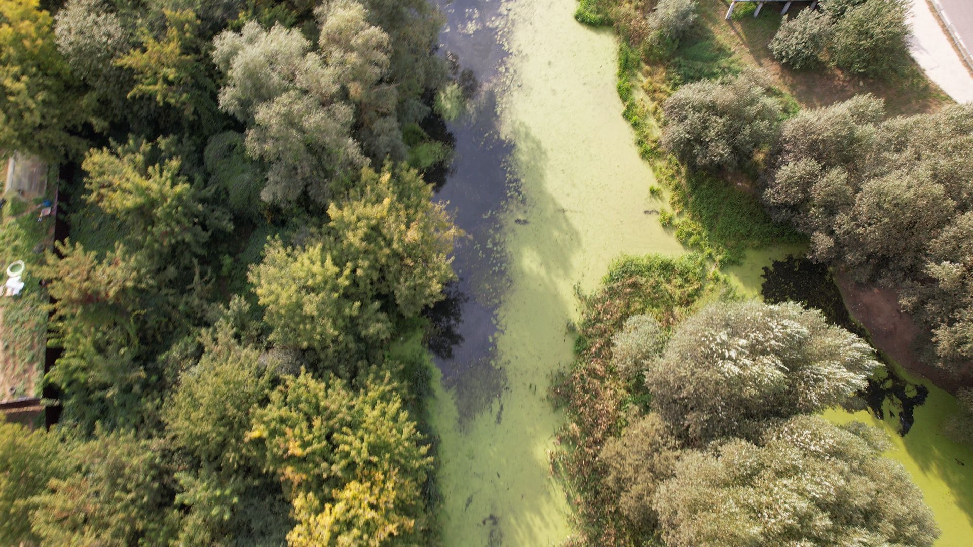 жуковский, благоустройство, набережная,видео с коптера,