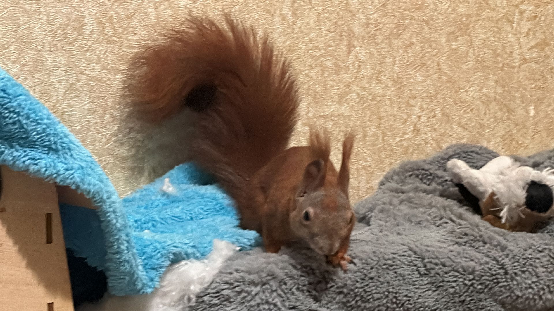 Одинцово, Щебекино, Подмоковье,