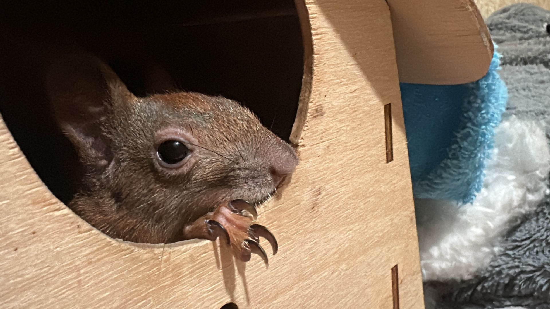 Одинцово, Щебекино, Подмоковье,