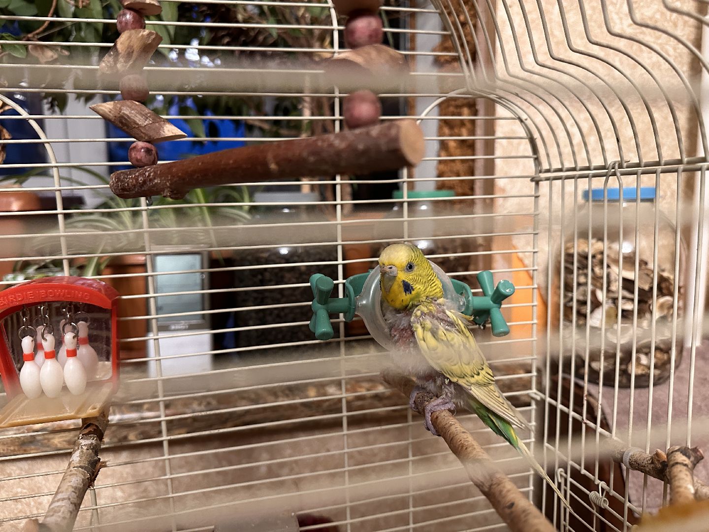 Одинцово, Щебекино, Подмоковье,