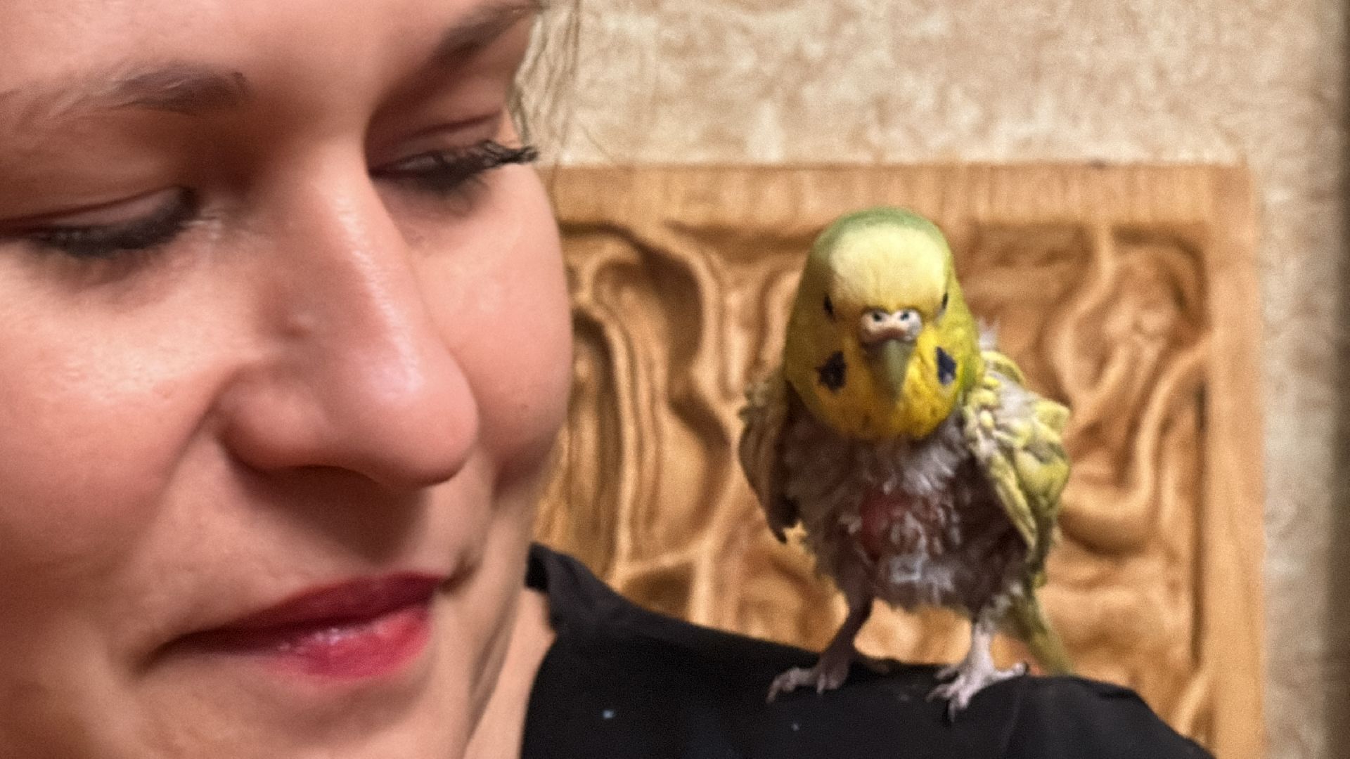 Одинцово, Щебекино, Подмоковье,