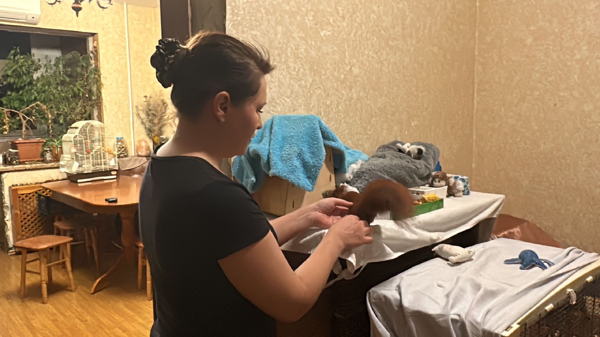 Одинцово, Щебекино, Подмоковье,