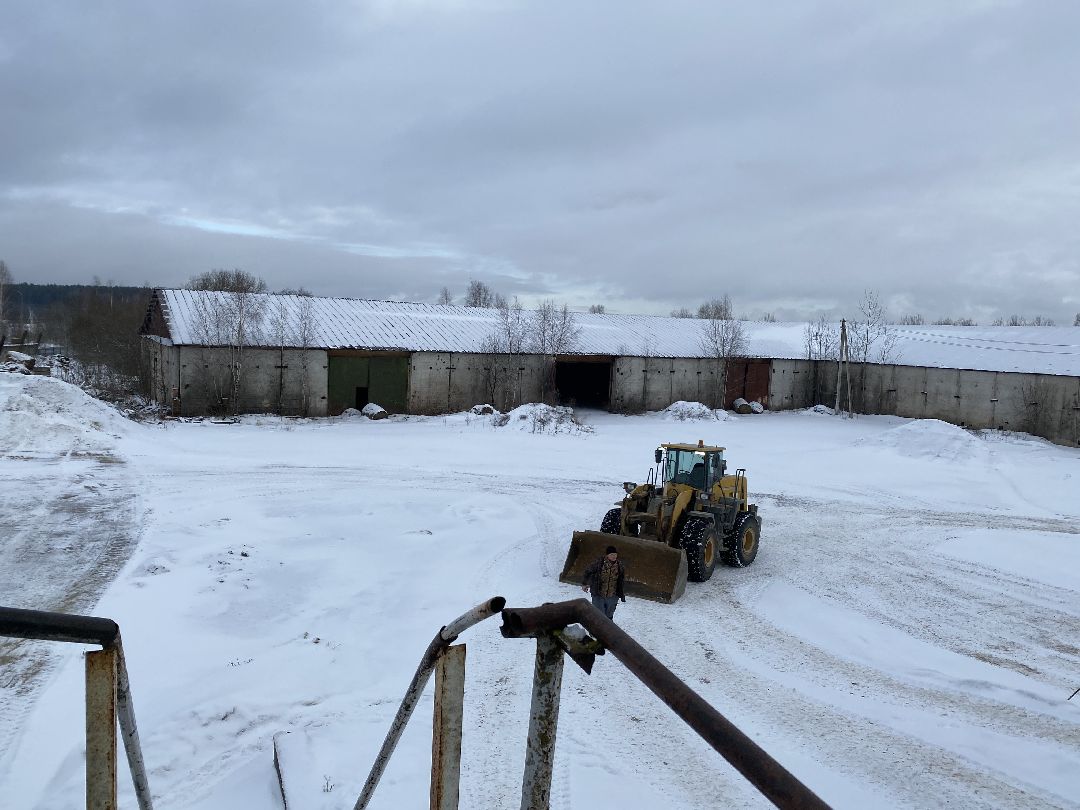 Шаховское, бизнес