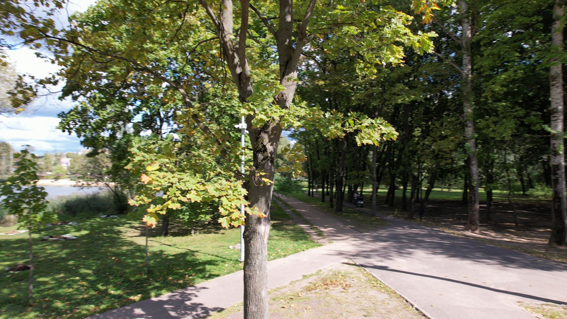 Реутов, благоустройство, пруд,видео с коптера,