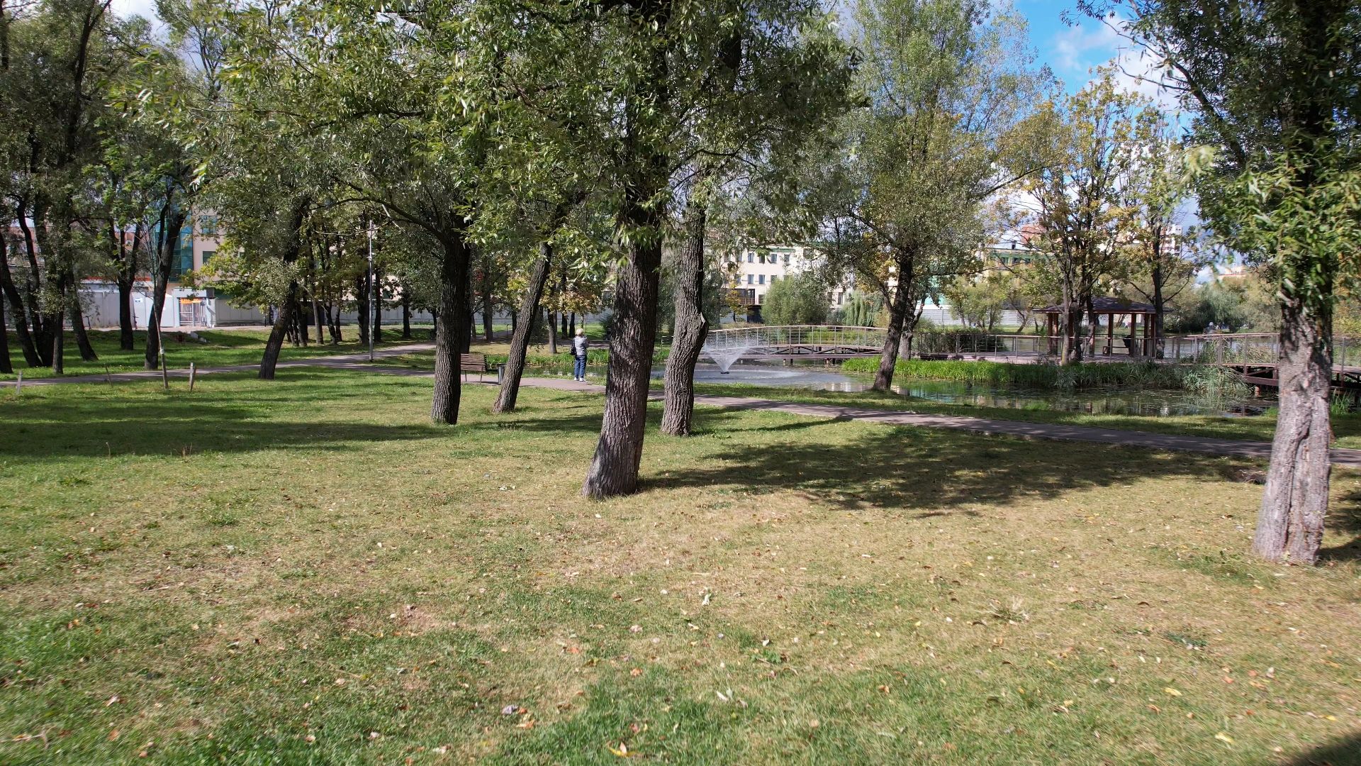 Реутов, благоустройство, пруд,видео с коптера,