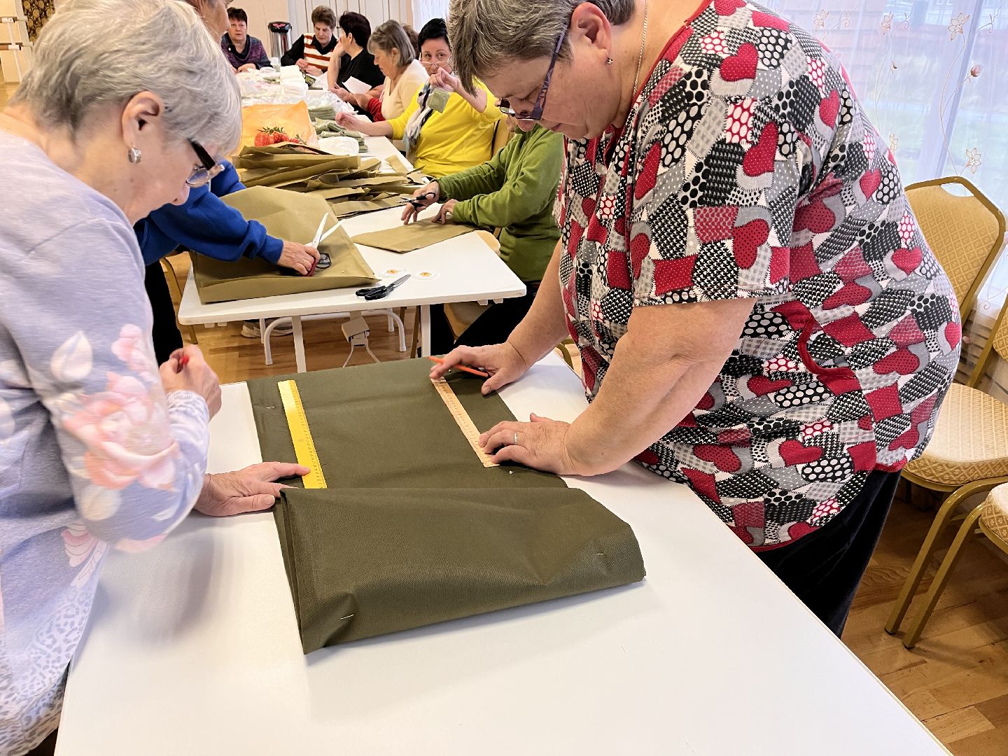 Шаховская, активное долголетие, сво, сети,