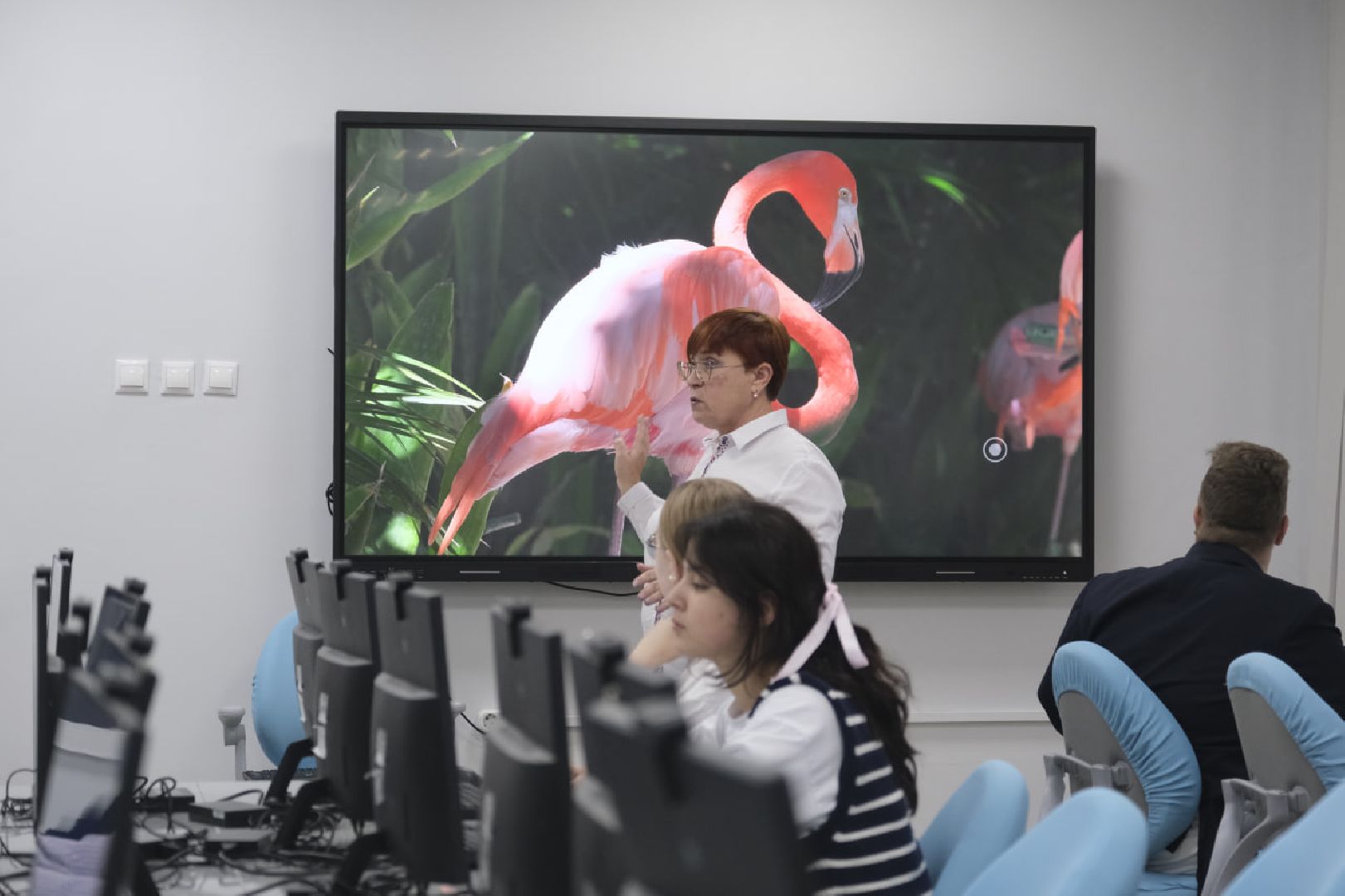 Пущино, образование, IT, реформа образования, образование подмосковья, компьютерная грамотность,