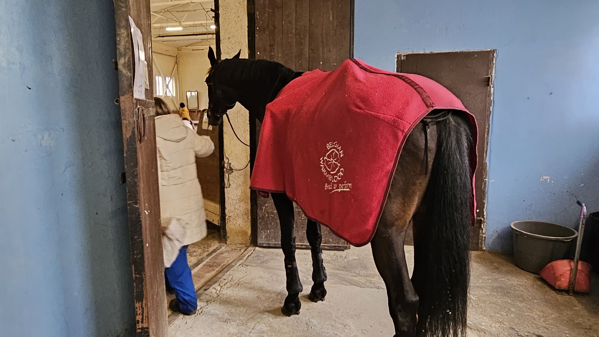 параспорт, Котельники, СШОР, ОВЗ,