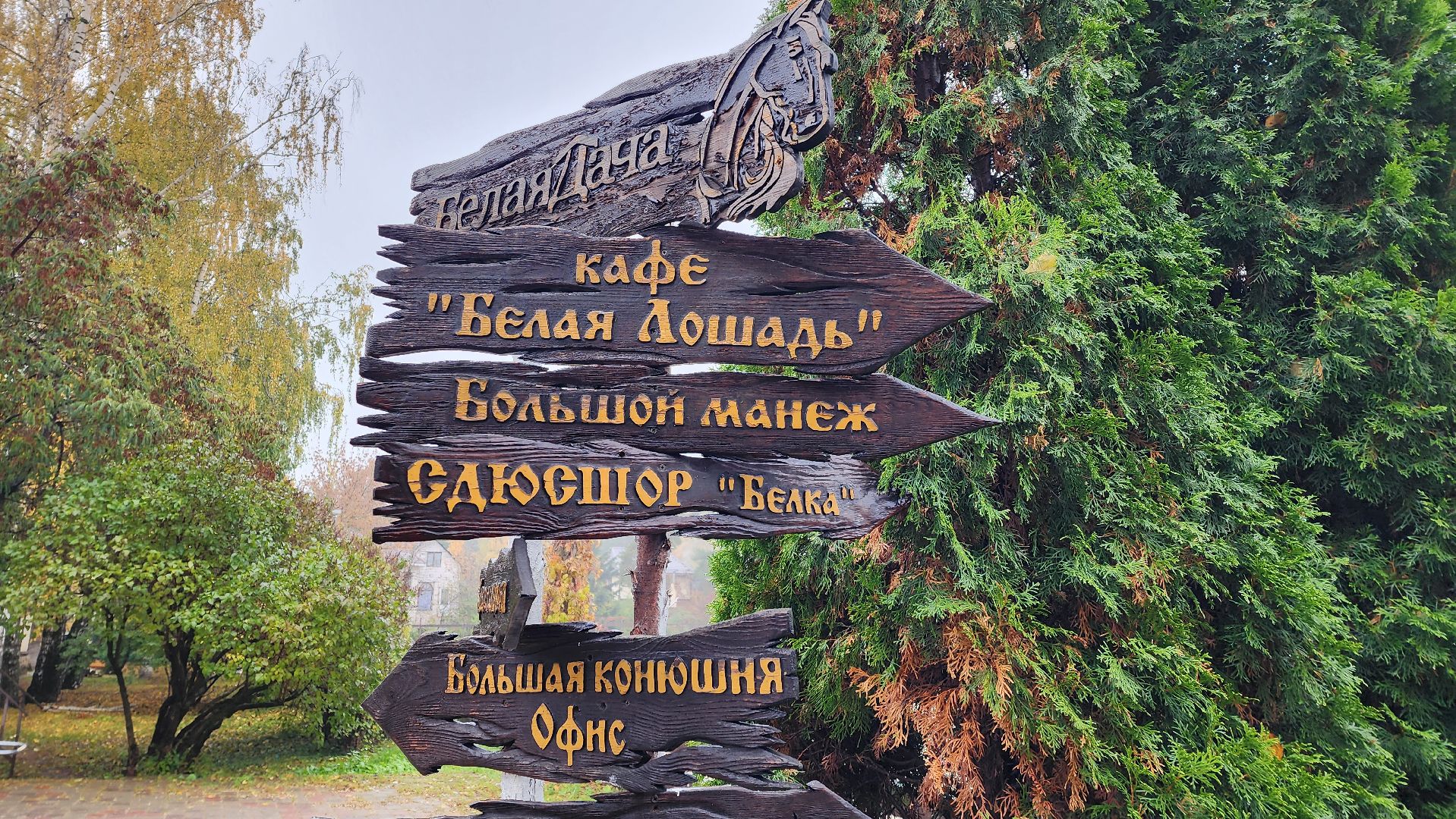 параспорт, Котельники, СШОР, ОВЗ,