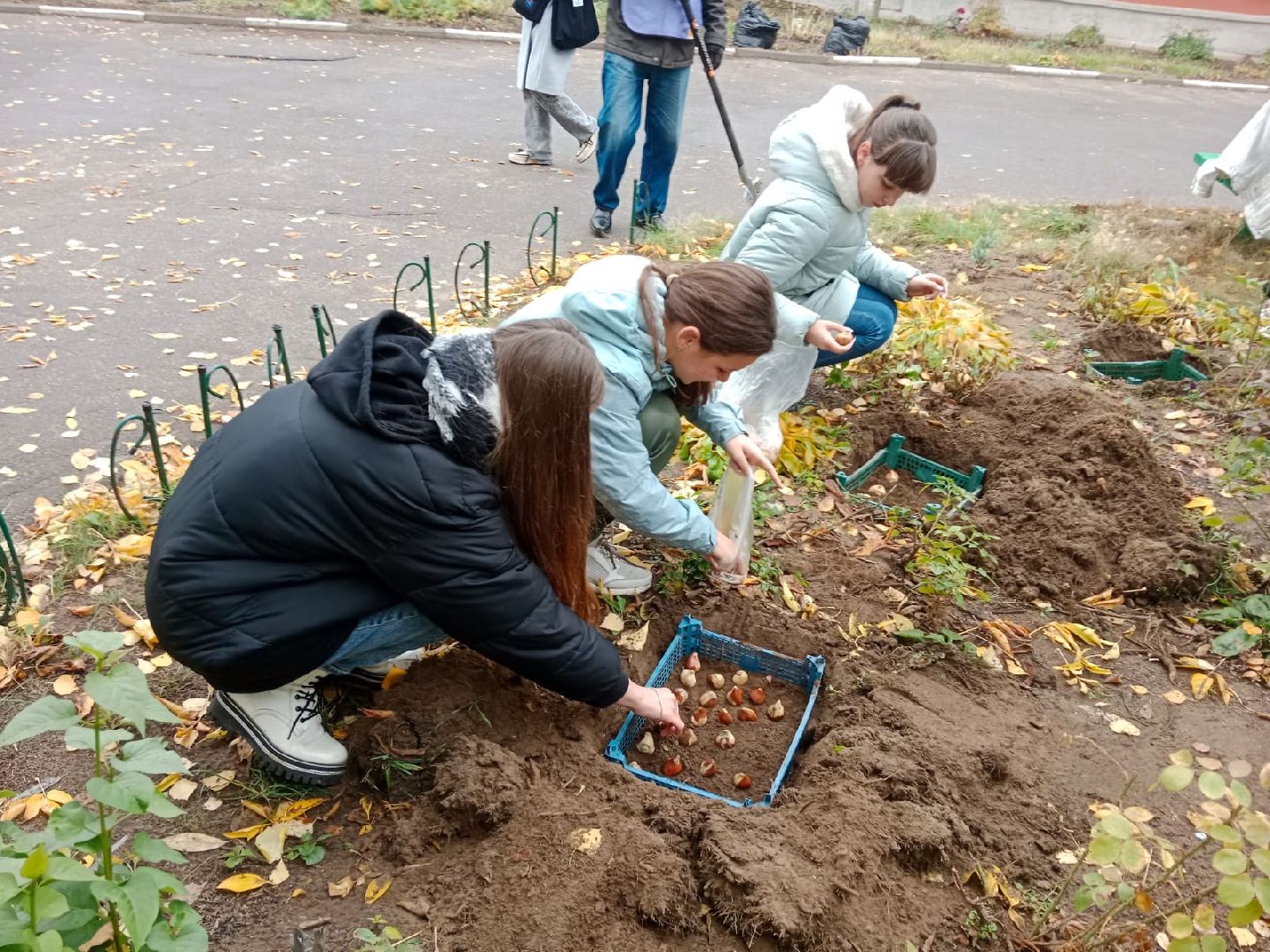 Пантелеимоновский приход, цветы, тюльпаны, луковицы, молодая гвардия, Пушкарева, ВООПИК, Город-сад,