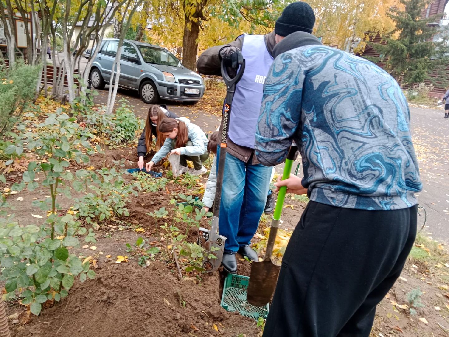 Пантелеимоновский приход, цветы, тюльпаны, луковицы, молодая гвардия, Пушкарева, ВООПИК, Город-сад,
