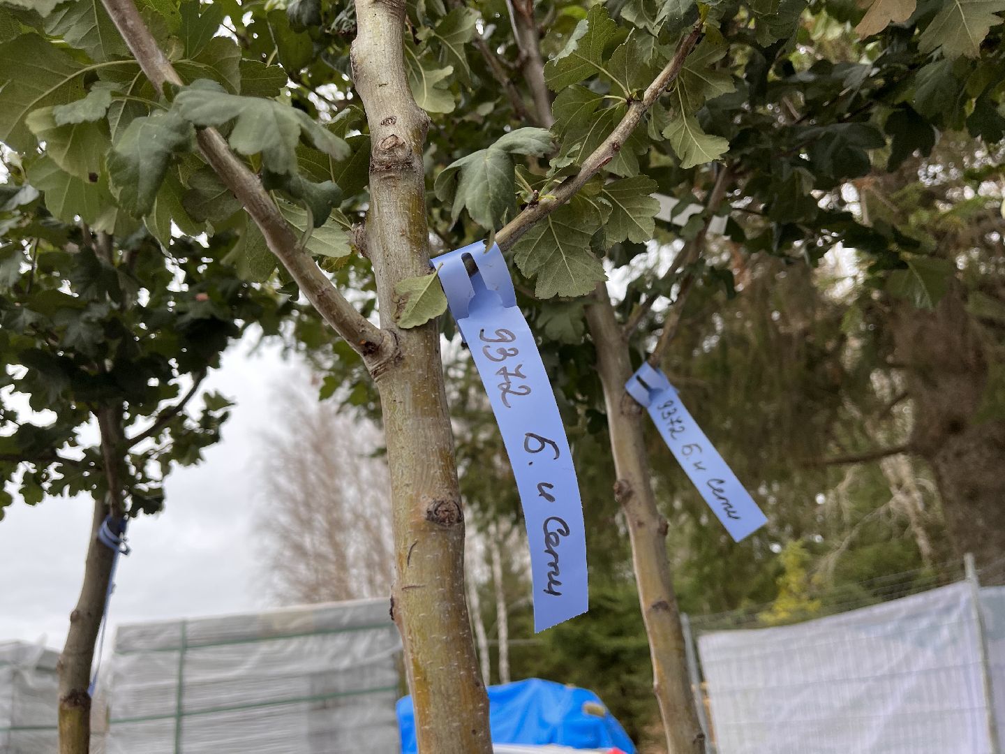 шаховская, плотина, благоуйстройство, строительство,