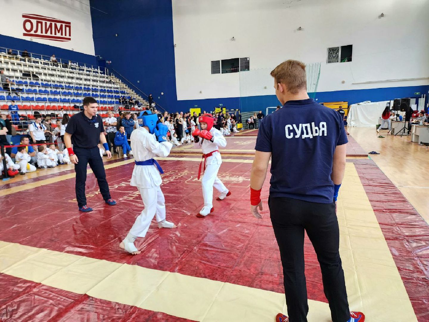 Солнечногорск, рукопашный бой, спортсмены, медали, Победа,