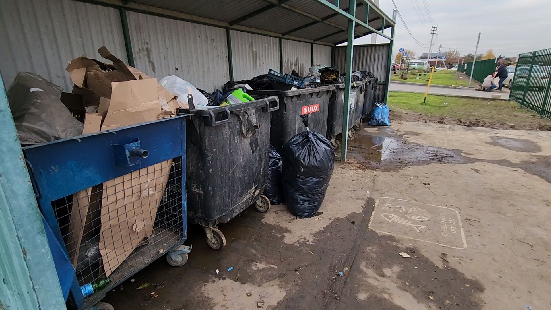 Одинцово, Ромашково, мусор, тко, контейнеры,