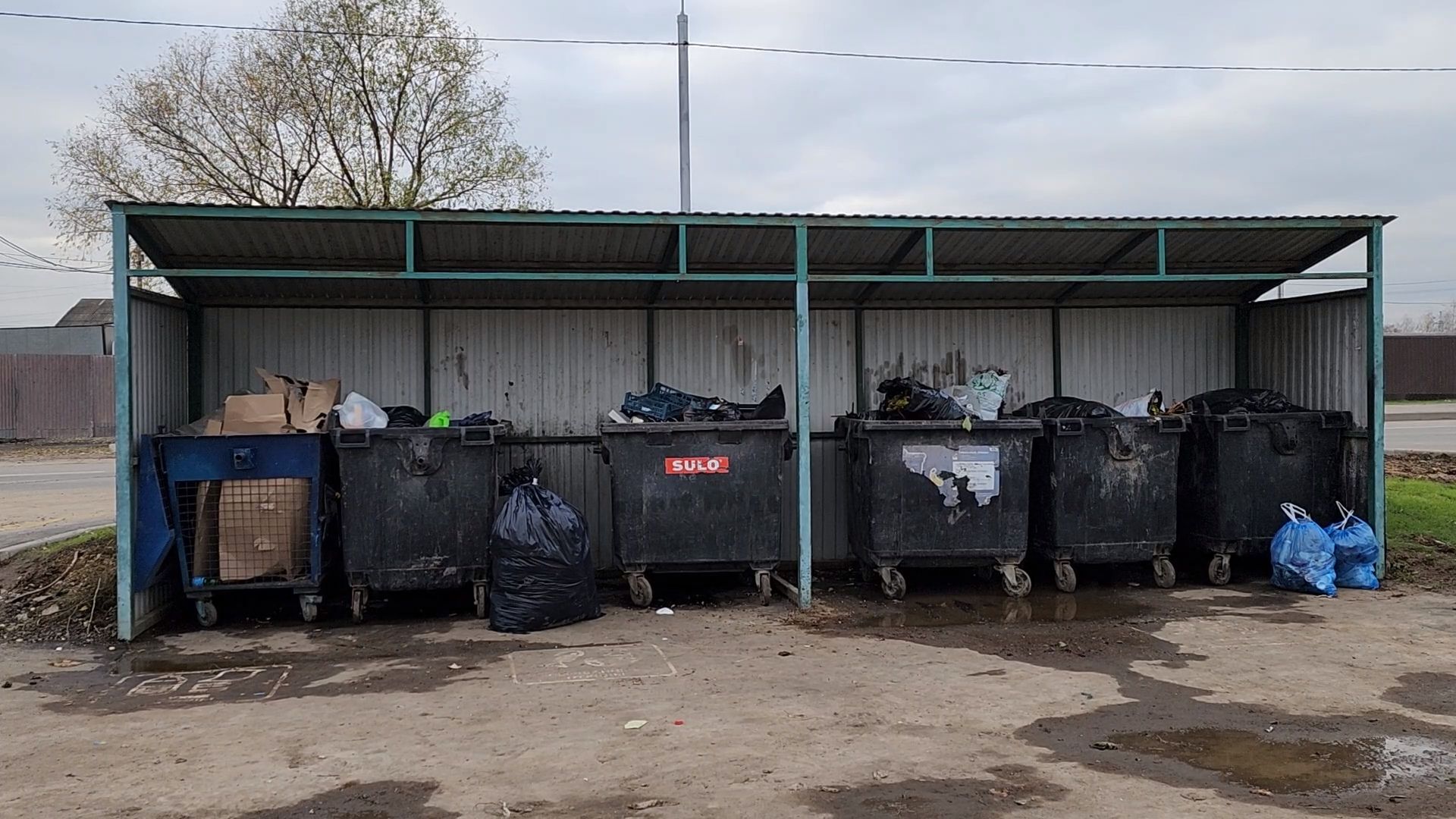 Одинцово, Ромашково, мусор, тко, контейнеры,