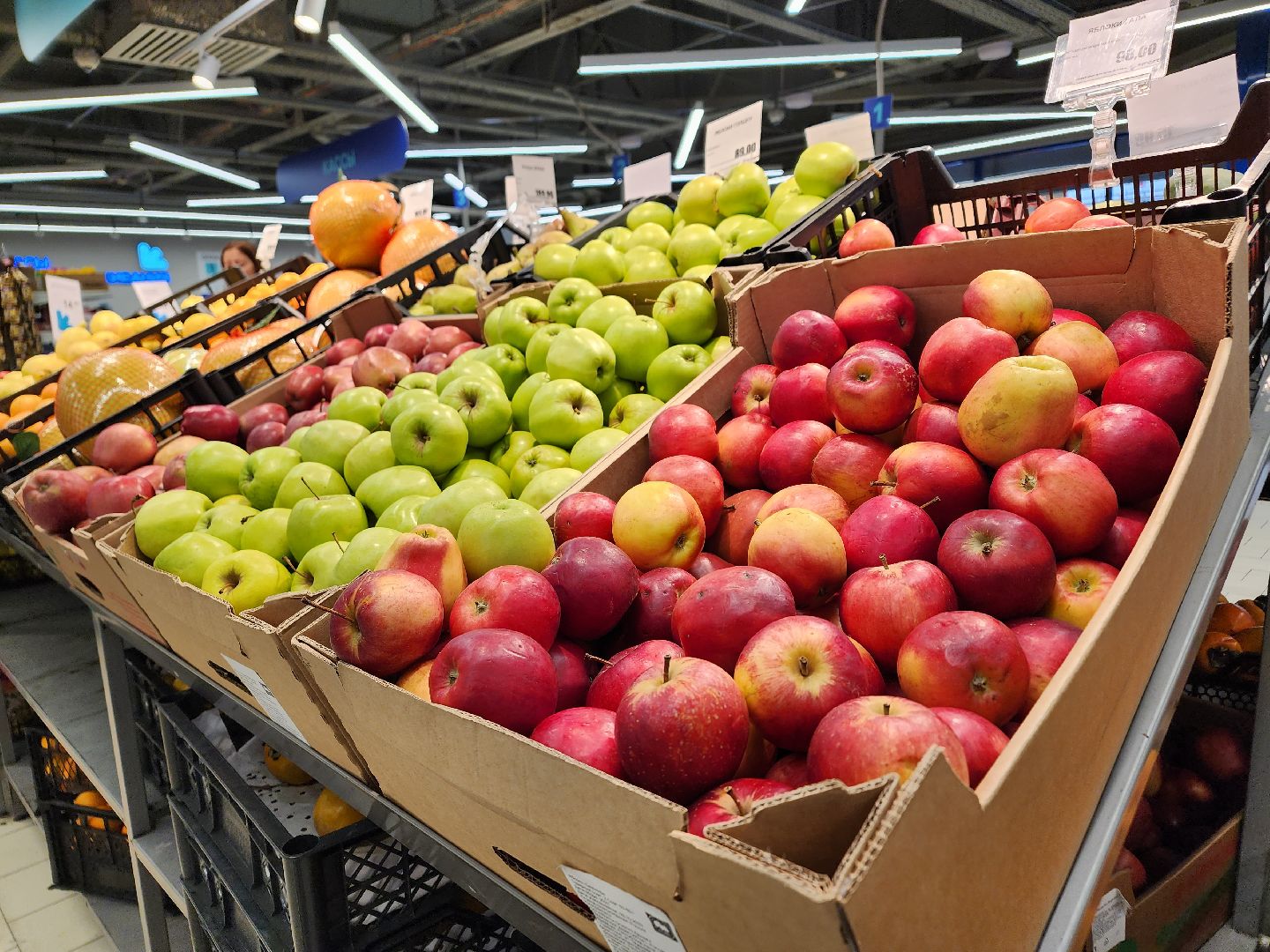 ступино, вред вегетарианства, веганы, медицина,