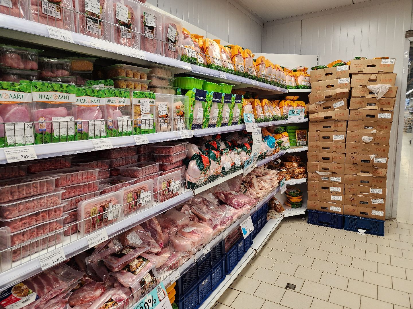 ступино, вред вегетарианства, веганы, медицина,