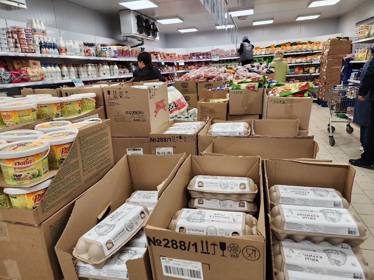 ступино, вред вегетарианства, веганы, медицина,