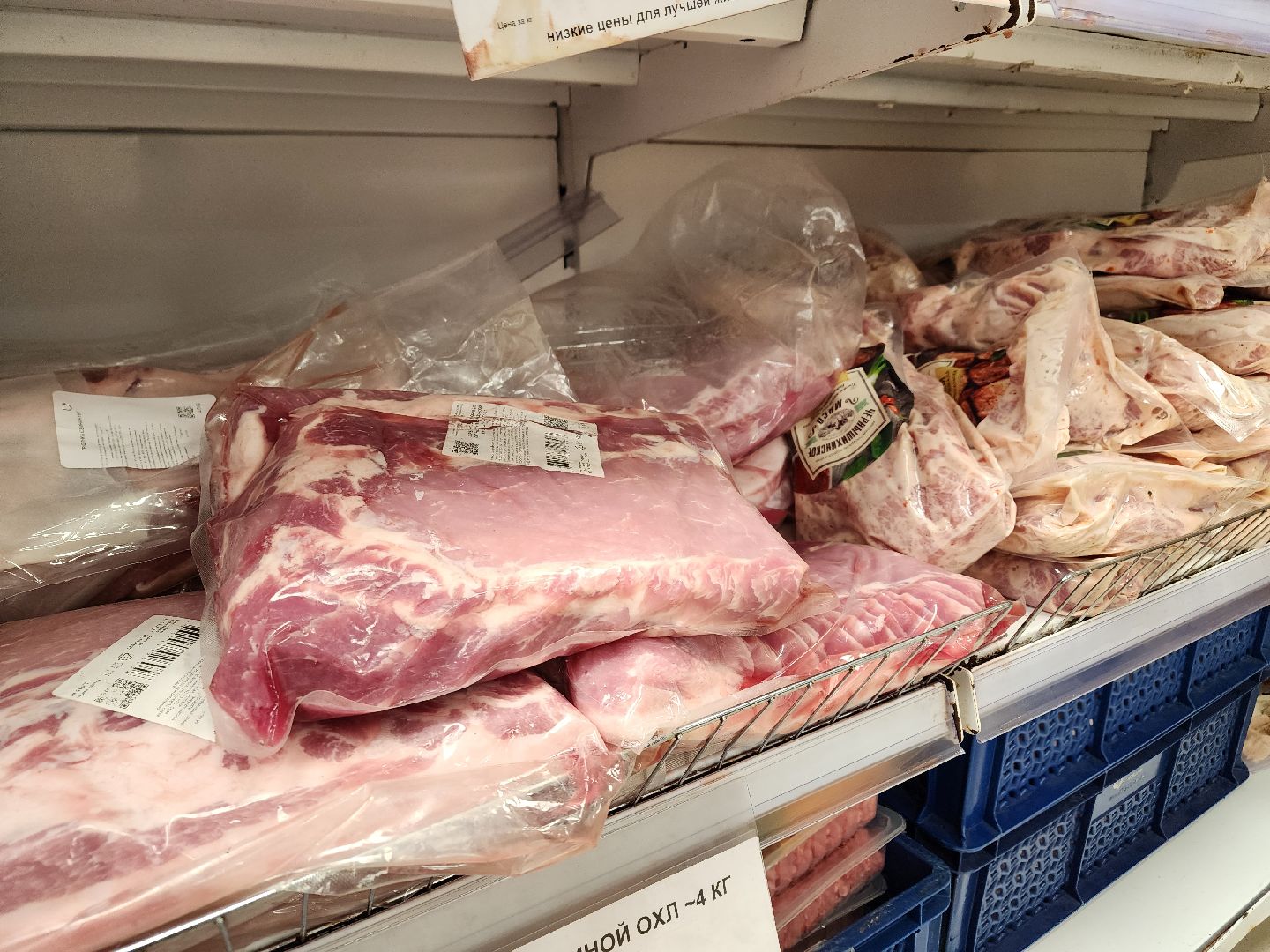 ступино, вред вегетарианства, веганы, медицина,