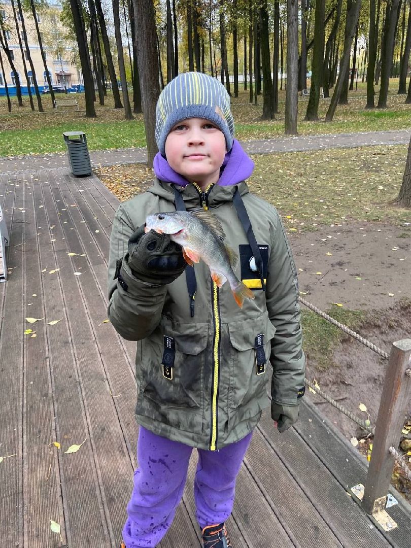 воскресенск, парк, кривякино, жители, рыбалка,