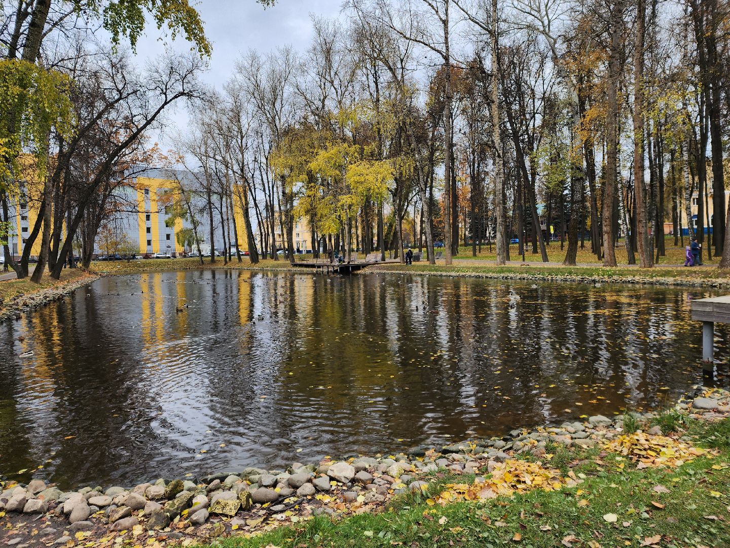 воскресенск, парк, кривякино, жители, рыбалка,