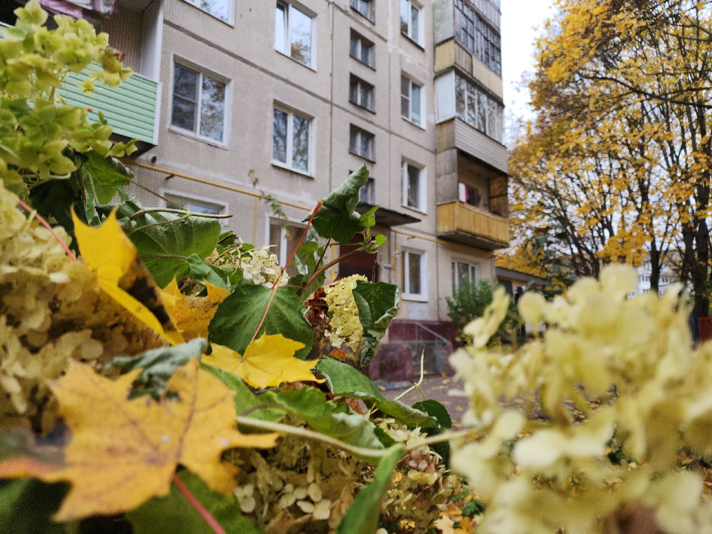 кашира, жкх, газовое оборудование, капитальный ремонт, замена труб, датчик загазованности,