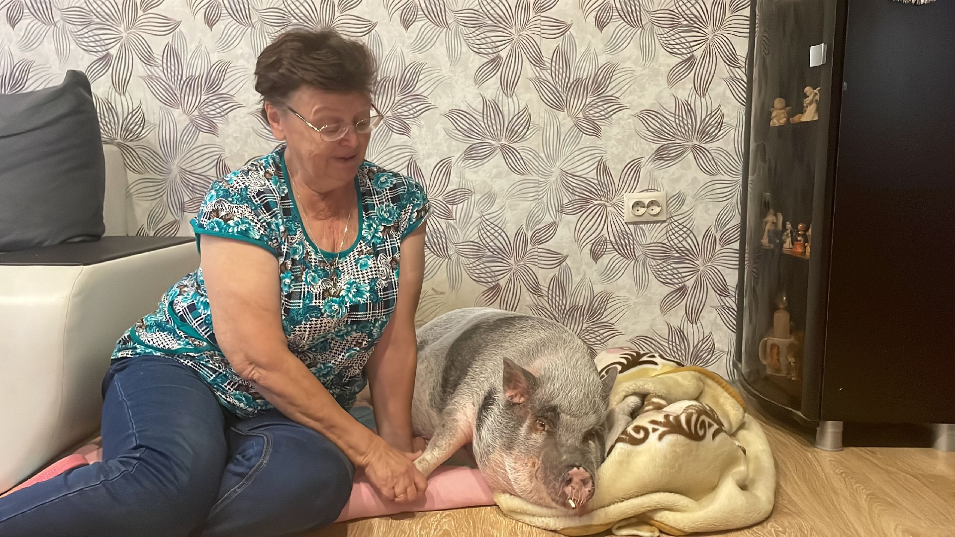 Волоколамск, Поросенок, Жужа,