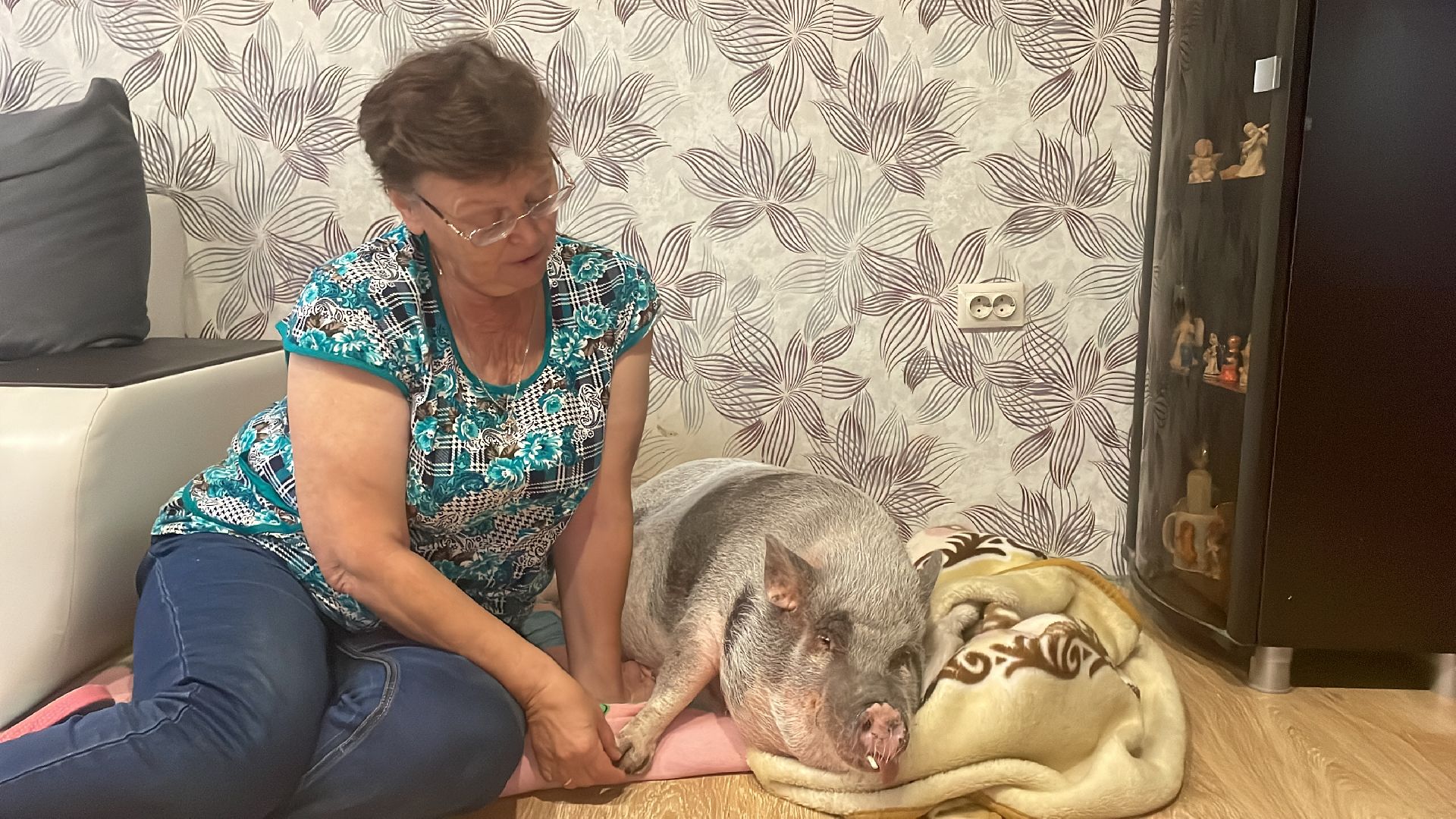 Волоколамск, Поросенок, Жужа,