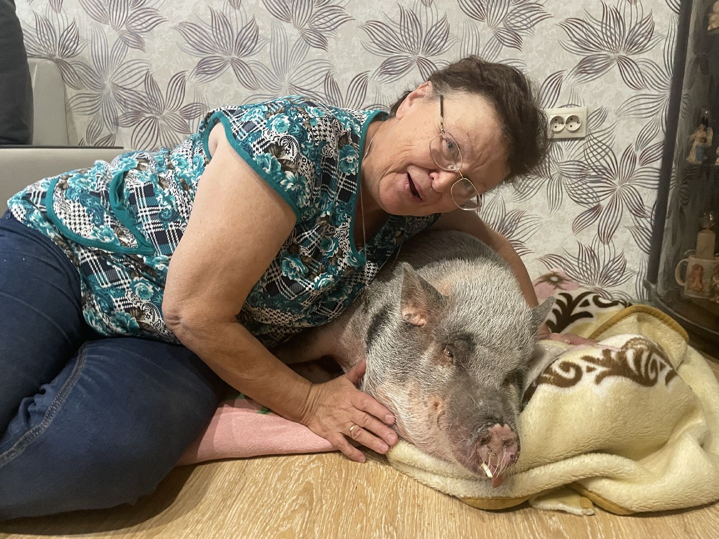 Волоколамск, Поросенок, Жужа,