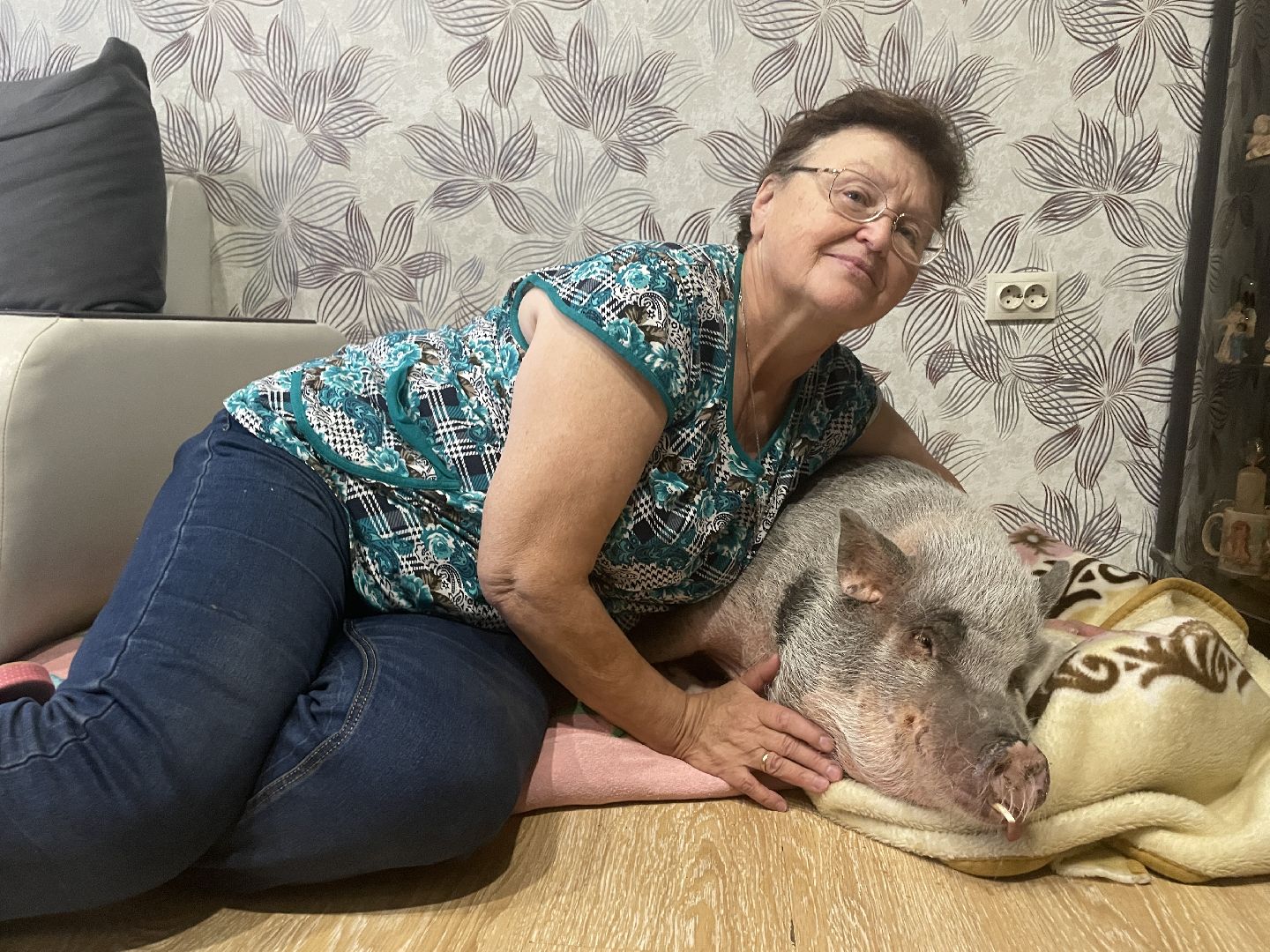 Волоколамск, Поросенок, Жужа,