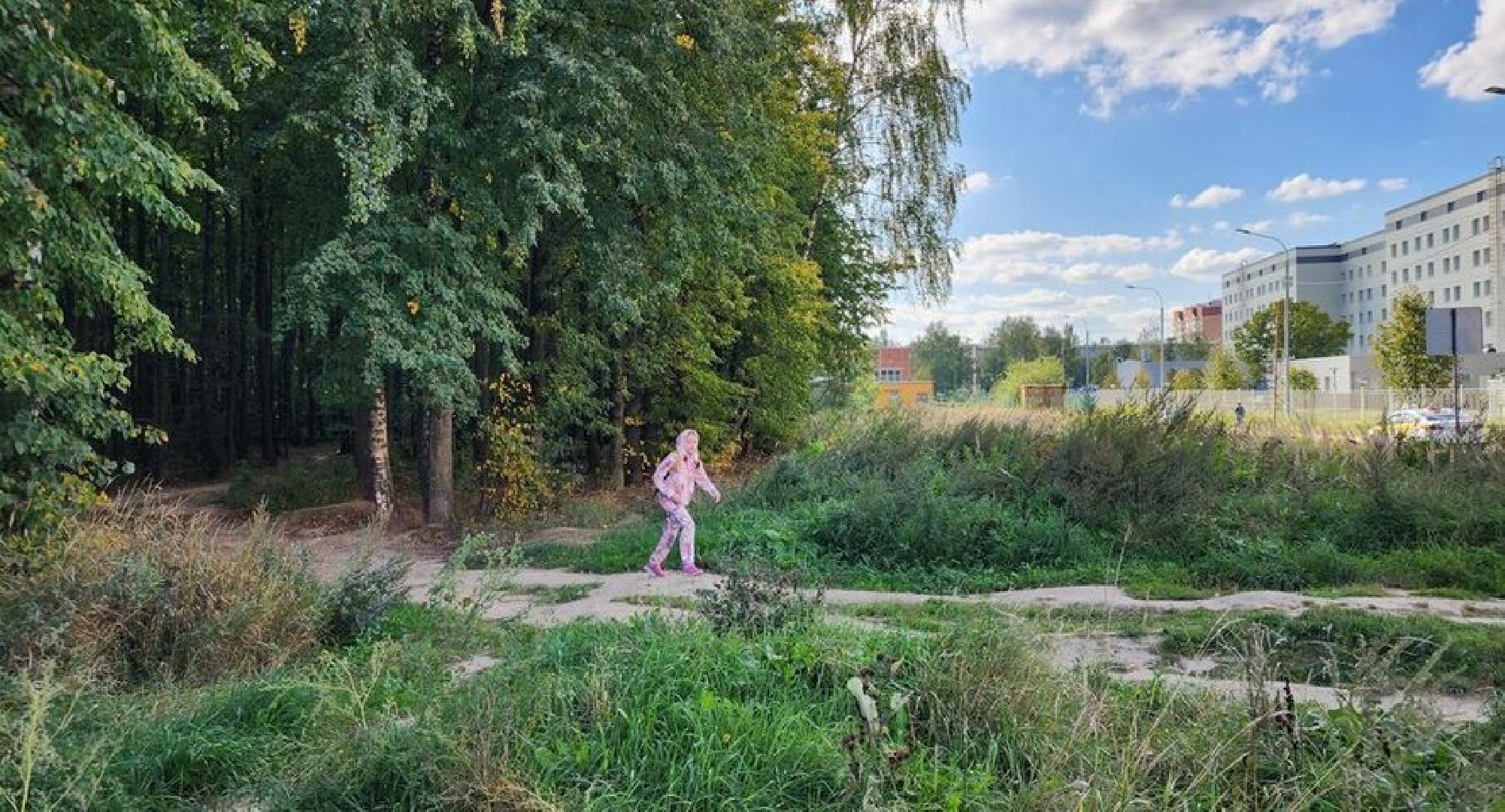 Звенигород, Благоустройство, Супоневский лес, Инициативная группа,