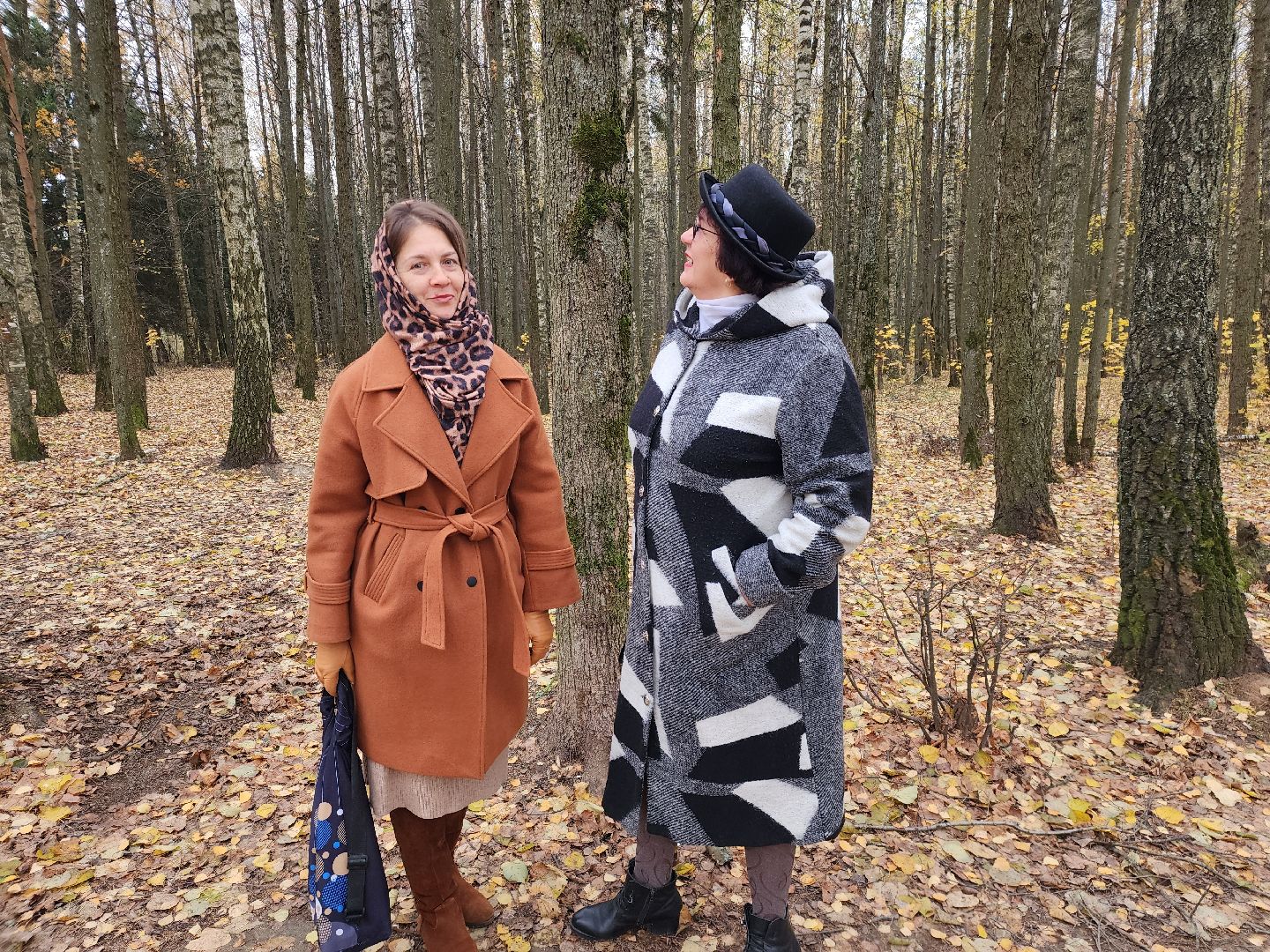 Звенигород, Благоустройство, Супоневский лес, Инициативная группа,