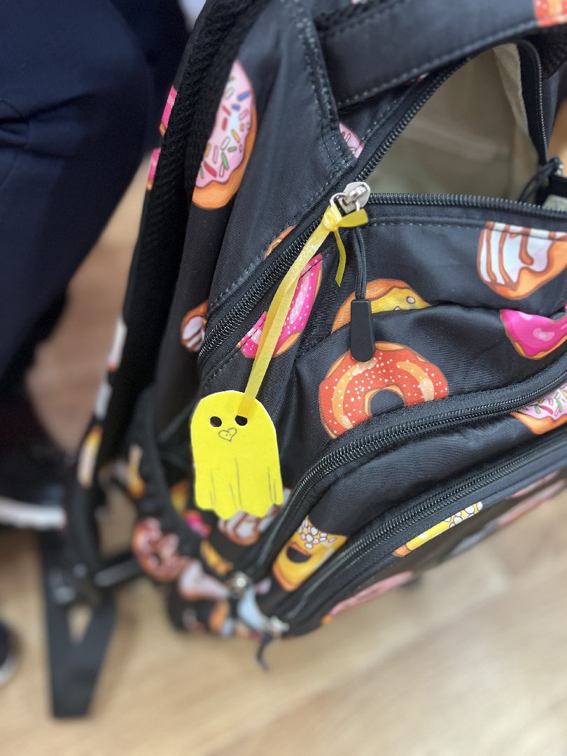 Солнечногорск, Школа, БДД, госавтоинспекторы, волонтеры, Засветись, Менделеево,