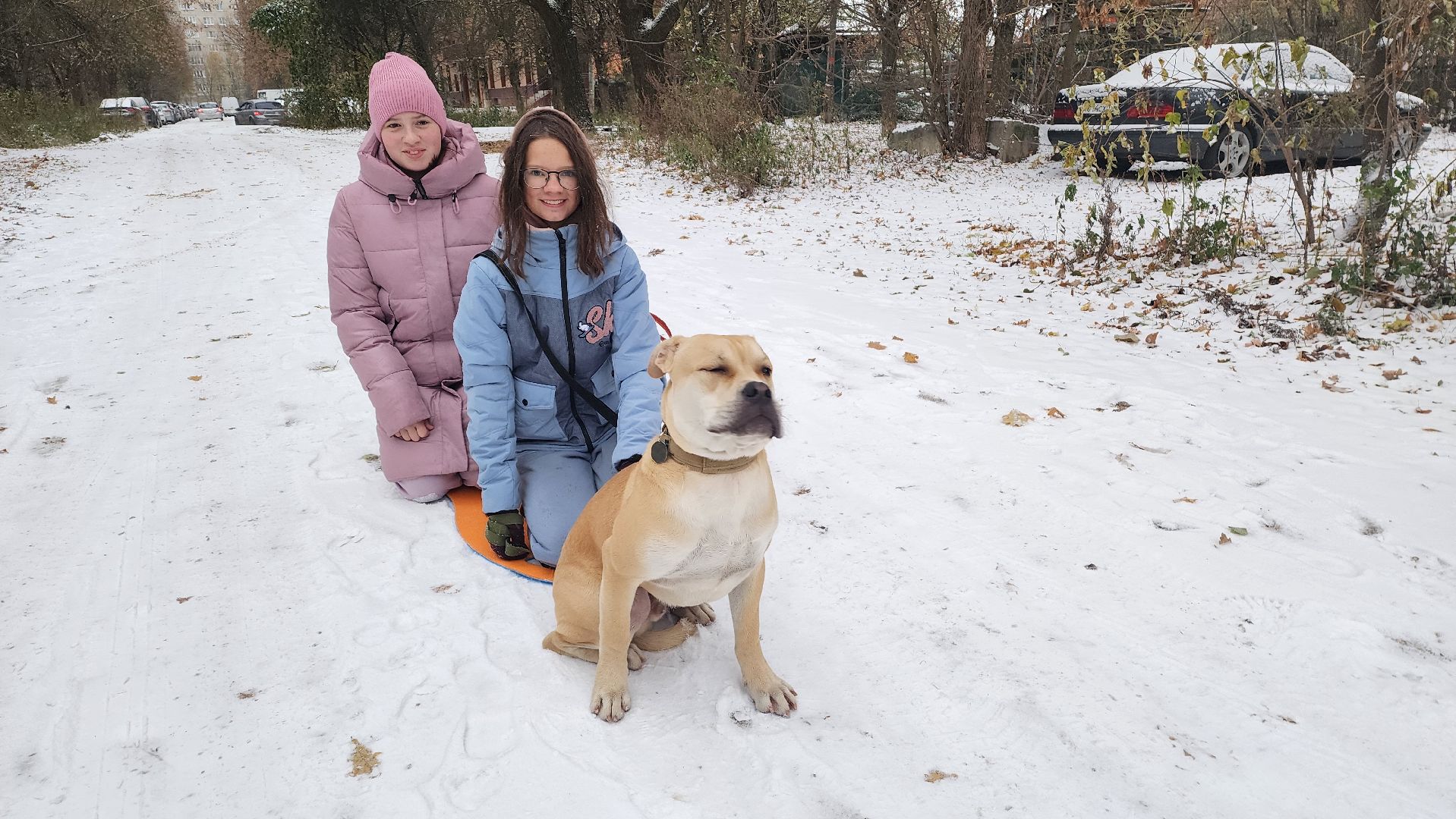 подмосковье, городской округ пушкинский, Ивантеевка, Первый снег, Город это люди, дети,