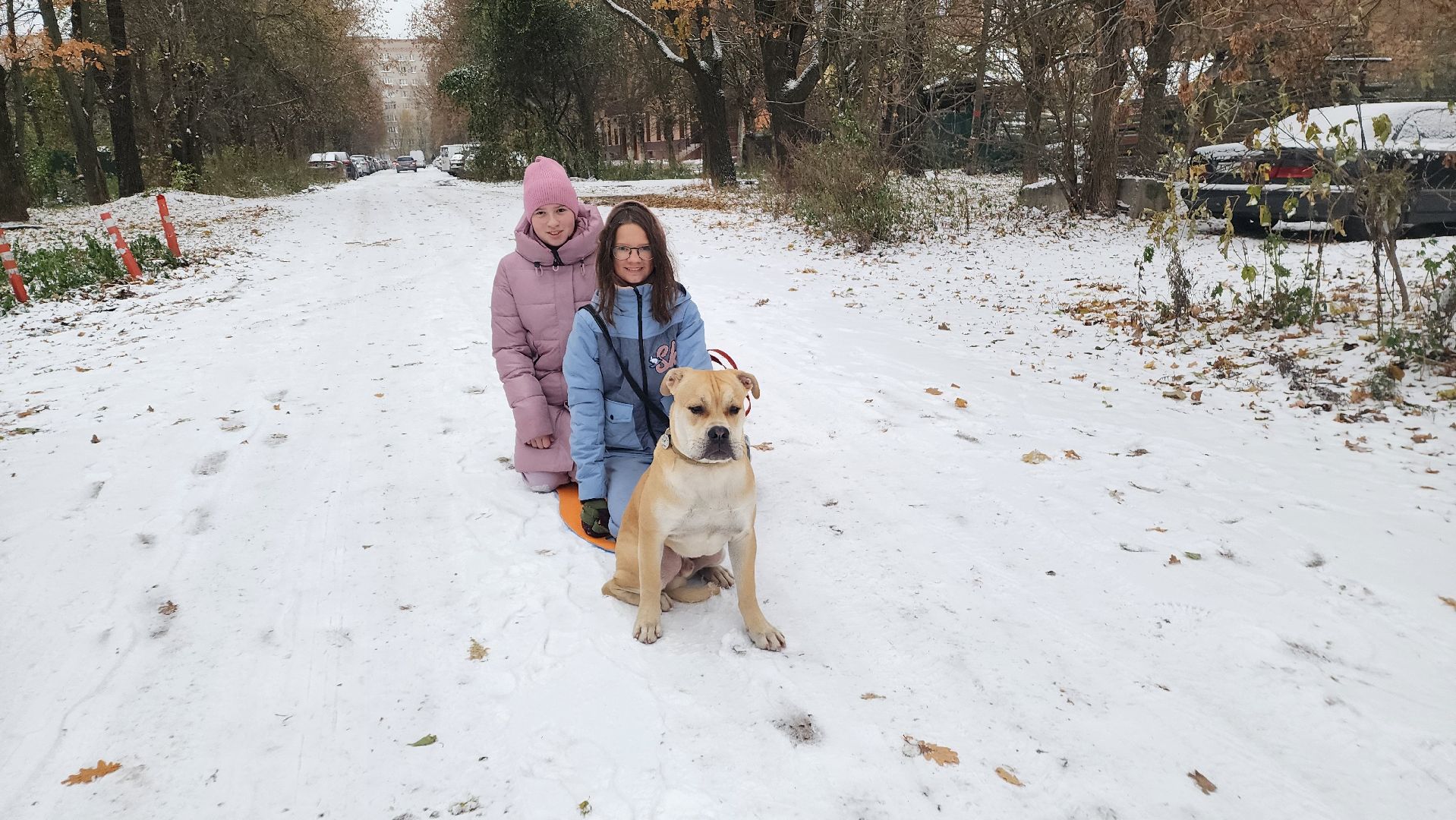 подмосковье, городской округ пушкинский, Ивантеевка, Первый снег, Город это люди, дети,