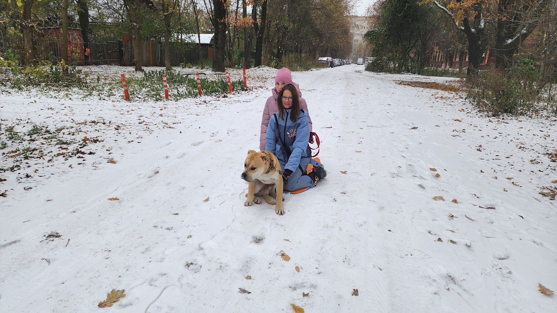 подмосковье, городской округ пушкинский, Ивантеевка, Первый снег, Город это люди, дети,