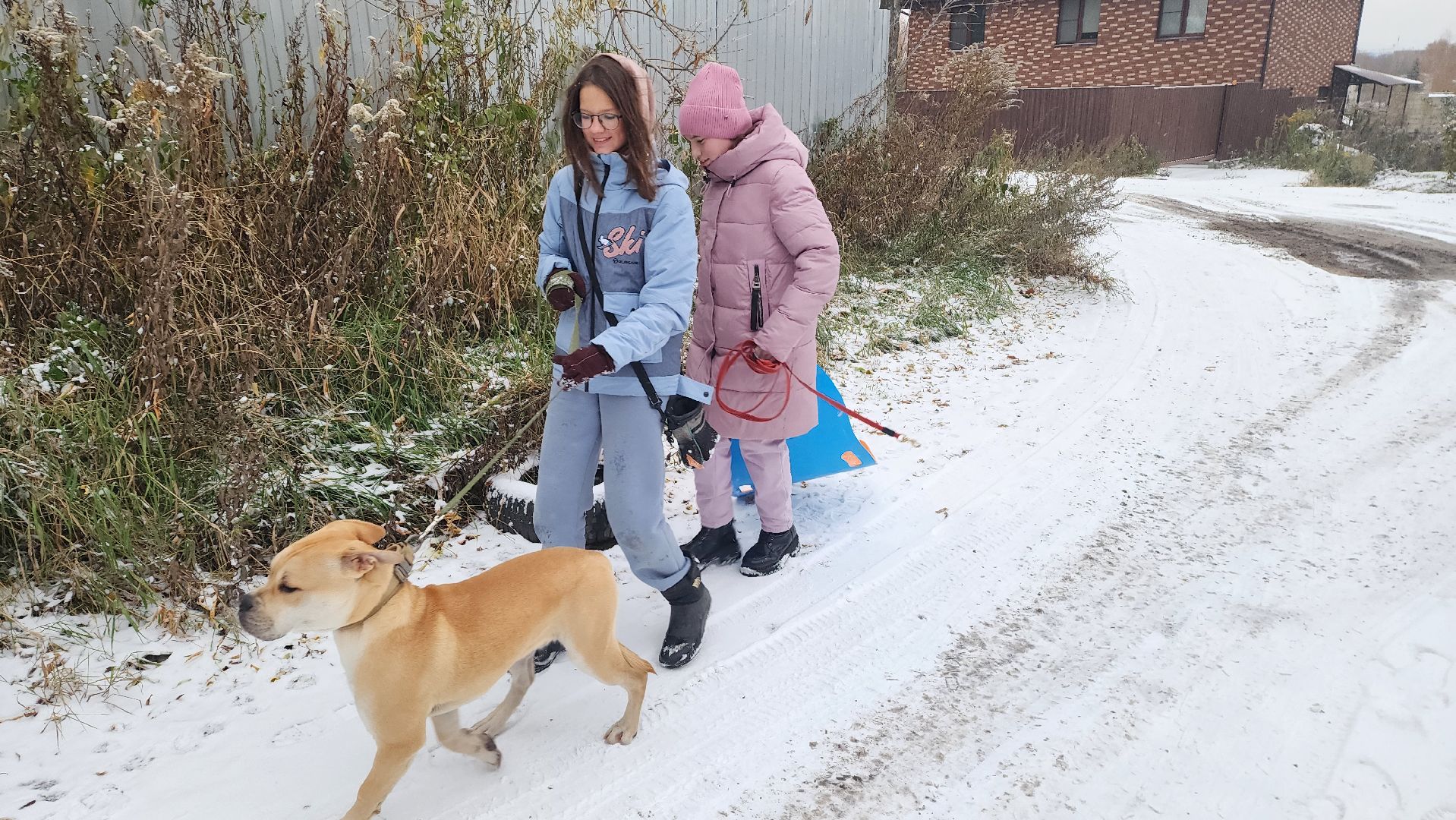 подмосковье, городской округ пушкинский, Ивантеевка, Первый снег, Город это люди, дети,