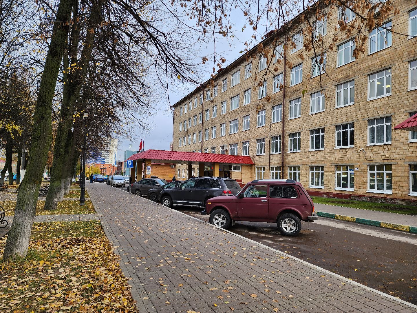 Подольск, вакцинация от гриппа, прививки, здоровье,