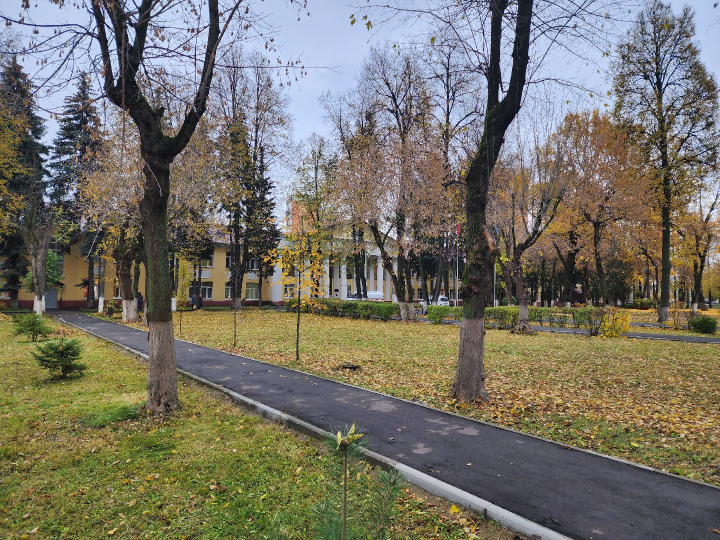 Подольск, Здоровье, Медицина, инсульт, профилактика заболеваний,