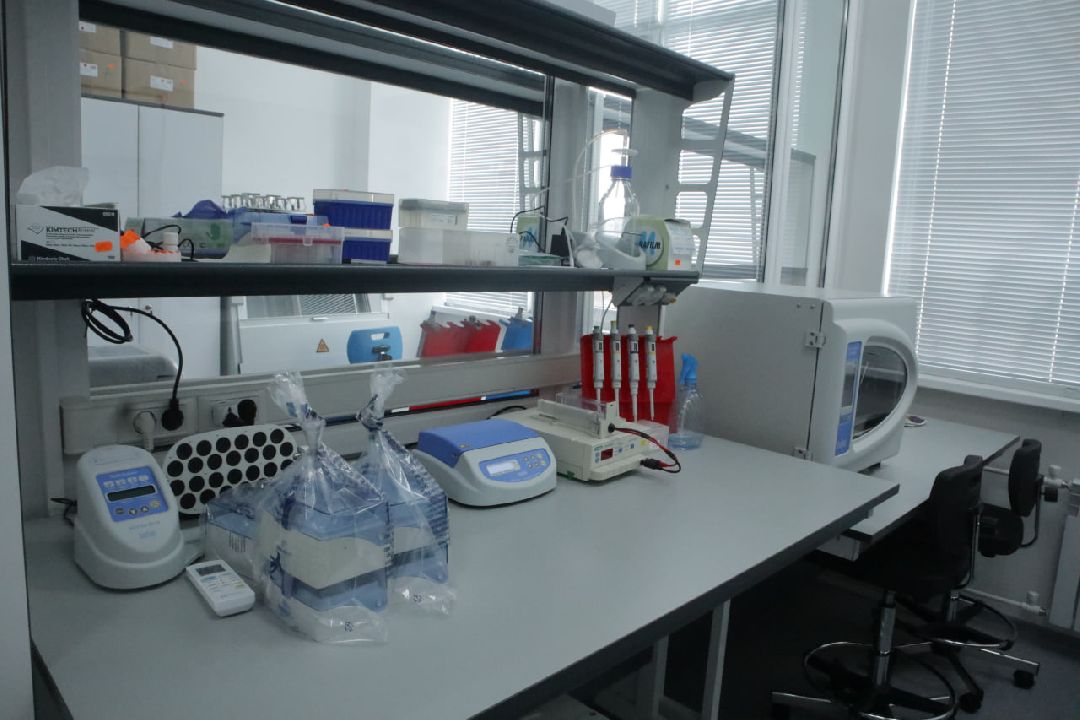 Пущино, медицина, онкология, импортозамещение, лекарства, фармацевтика.