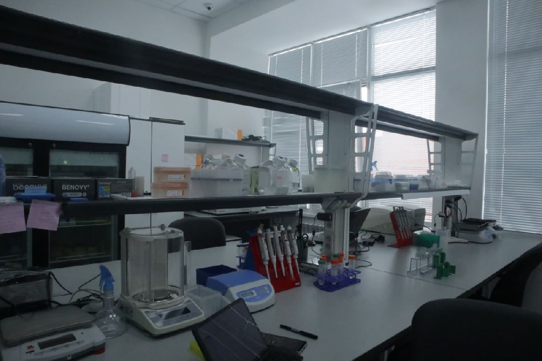 Пущино, медицина, онкология, импортозамещение, лекарства, фармацевтика.