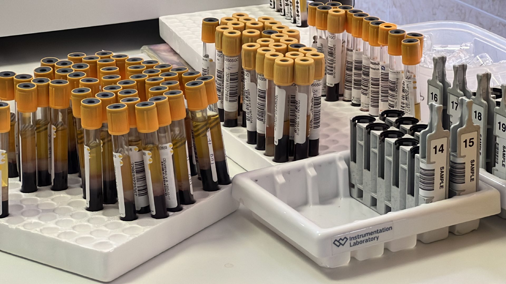 химки, медицина, школа, больница,