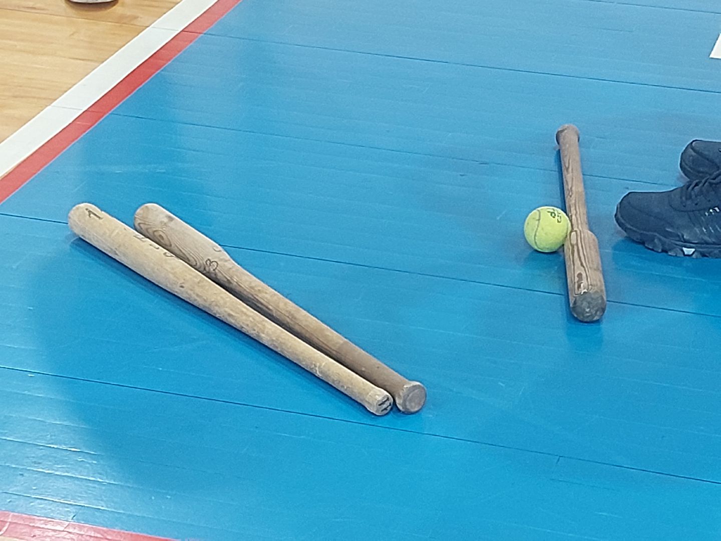 спорт подмосковья, Спорт, Лапта, Мастер-класс по лапте, город чехов, Живу спортом,